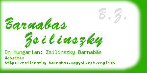 barnabas zsilinszky business card